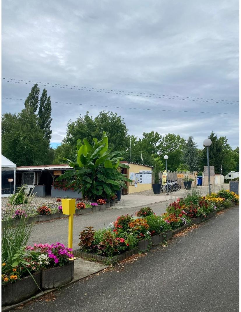 Boofzheim Mobile Home Proche De Europa Park מראה חיצוני תמונה